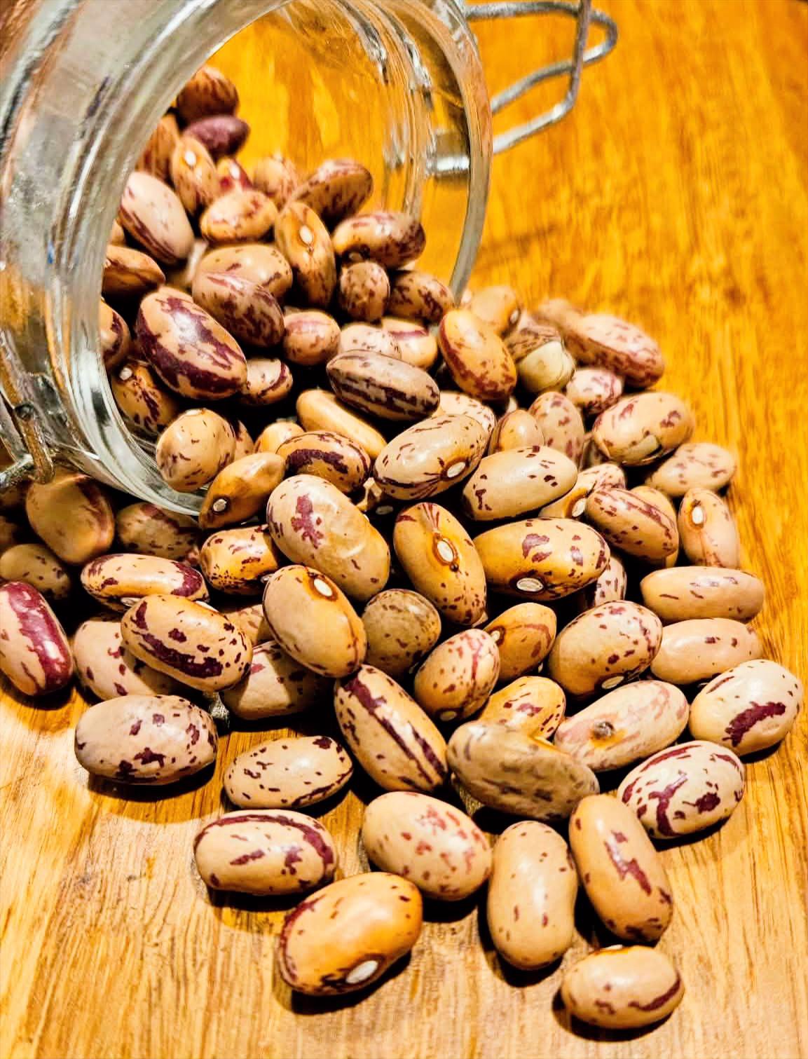 Organic Pinto Beans