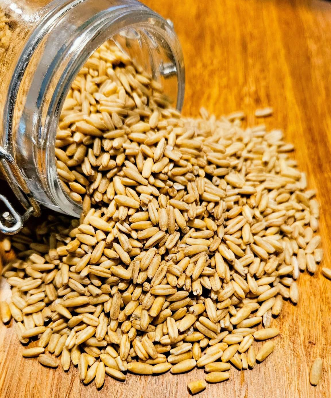 Organic Oat Groats