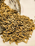 Organic Rye Berries