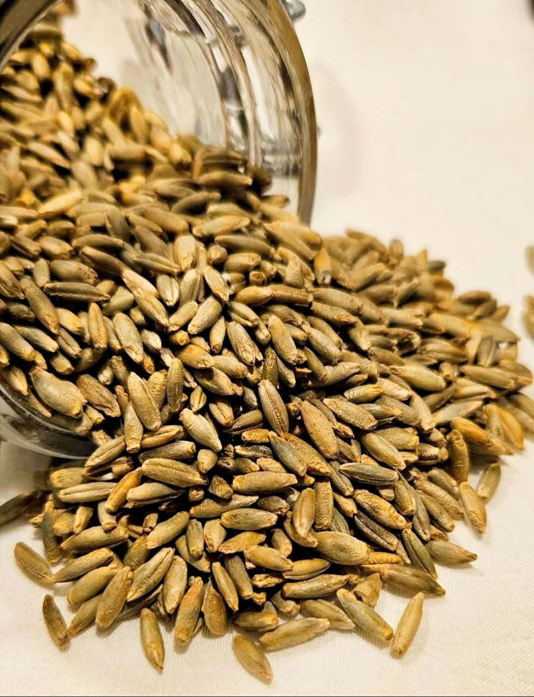 Organic Rye Berries